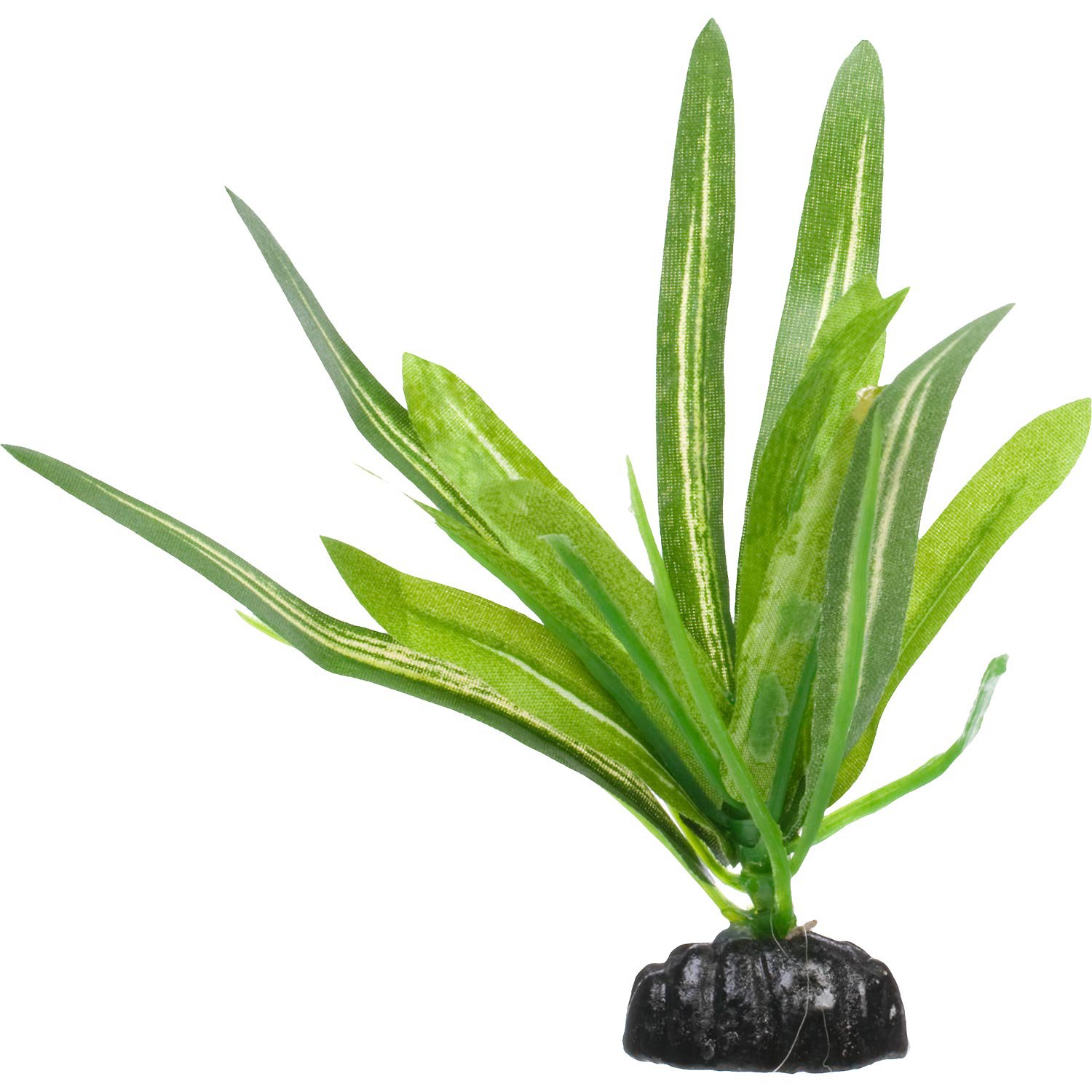 Petco Anubias Betta Aquarium Plant Petco