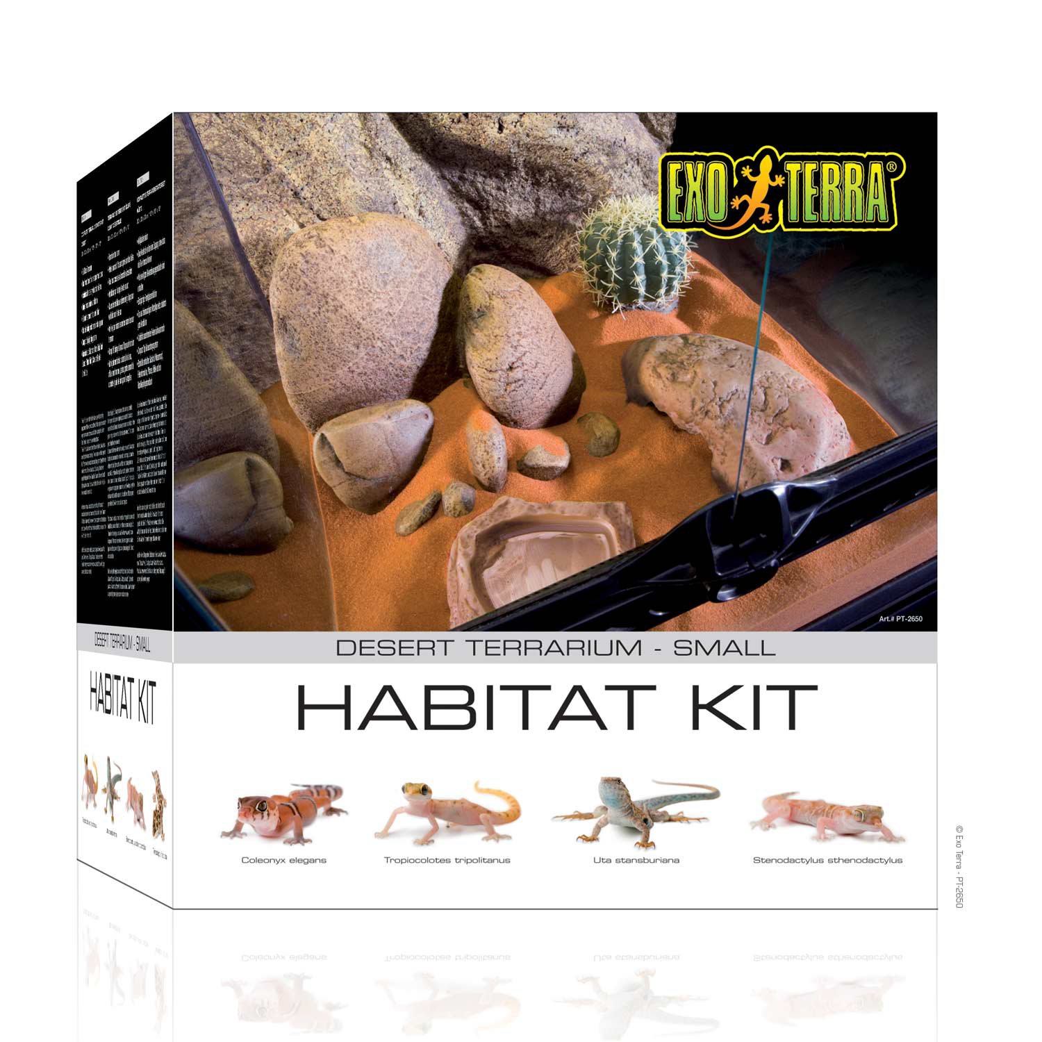 ExoTerra Desert Reptile Small Glass Terrarium Kit Petco
