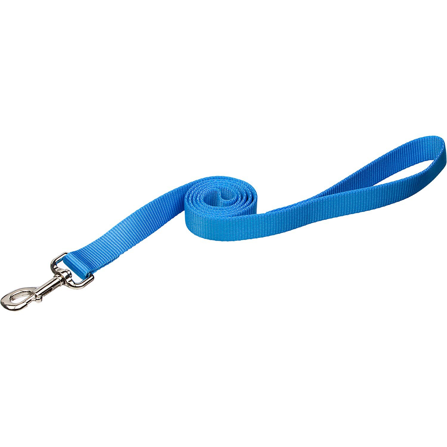 Coastal Pet Nylon Personalized Dog Leash in Light Blue, 4' L X 5/8" W