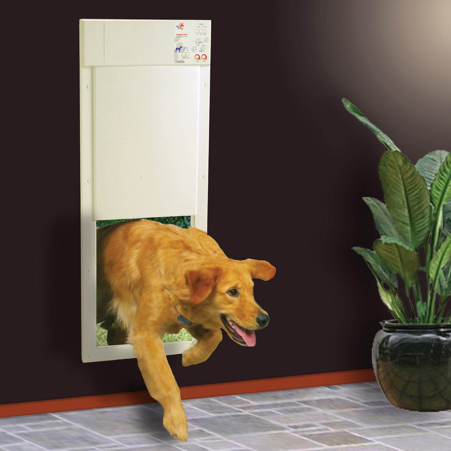 High Tech Pet Power Pet PX2 Pet Door Petco