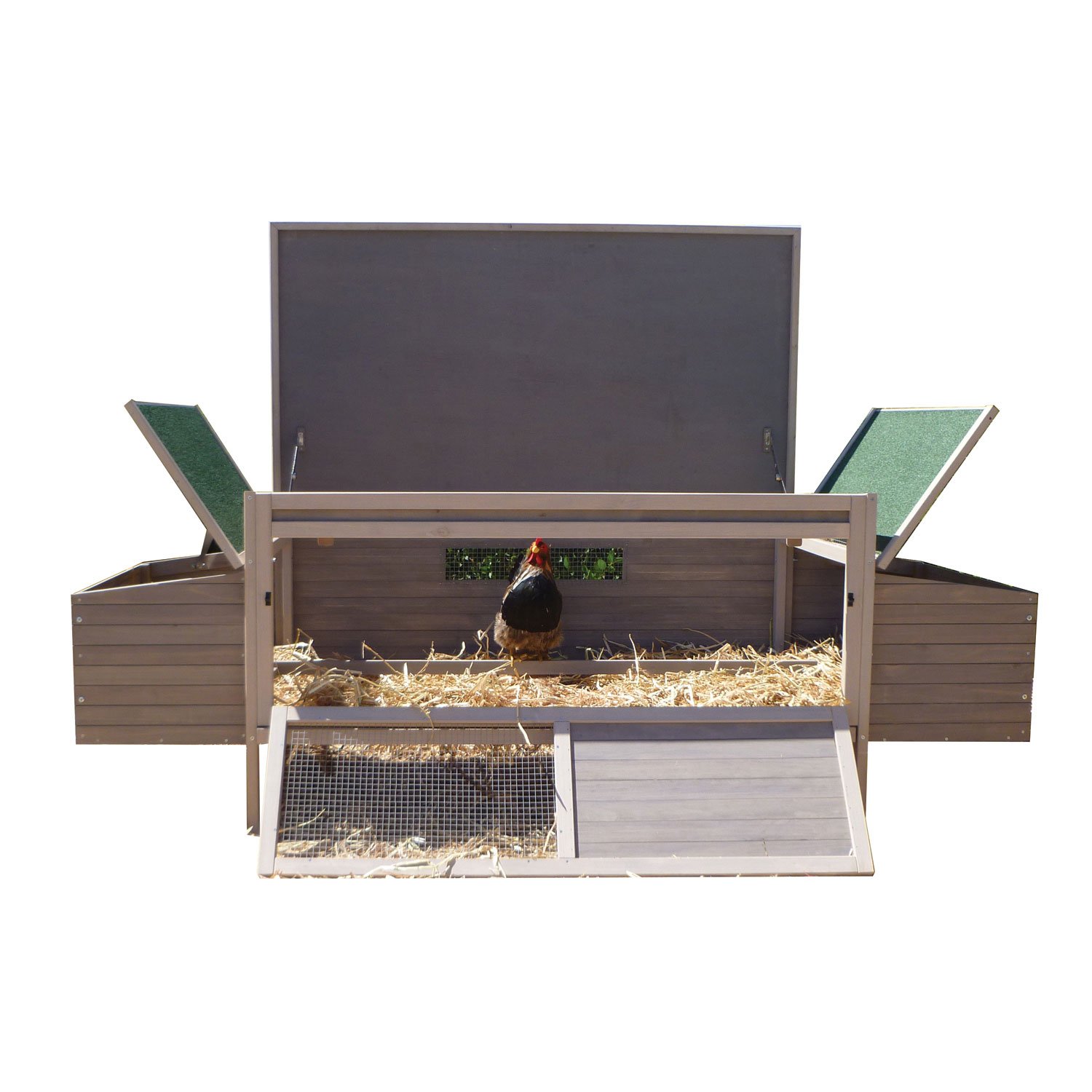 Precision Pet Hen Den Chicken Coop in Taupe & OffWhite Petco