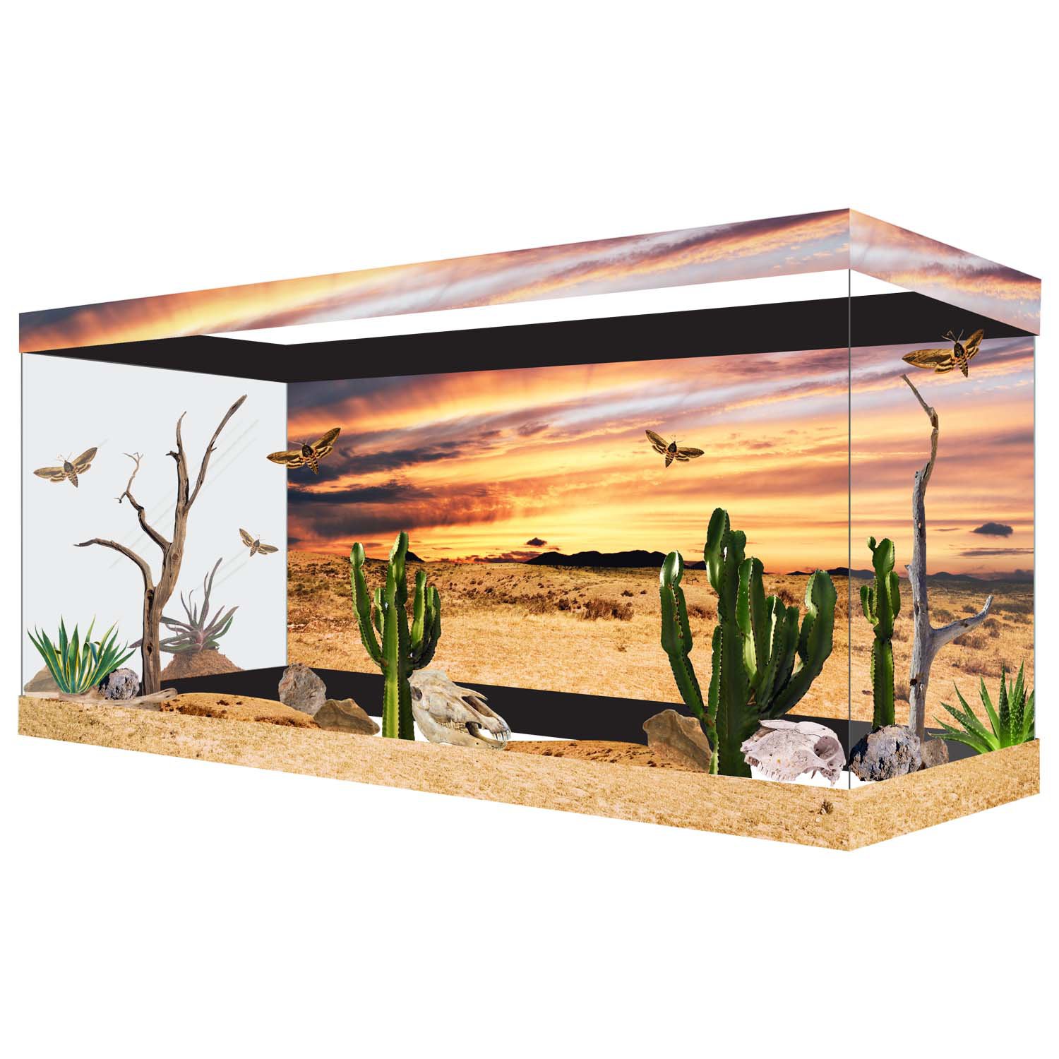 Habitat Wraps Desert Sunset Reusable Glass Tank Background Petco