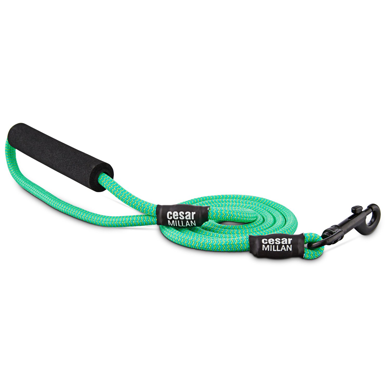 Cesar Millan Braided Brights Blue & Lime Rope Dog Leash, Large eBay