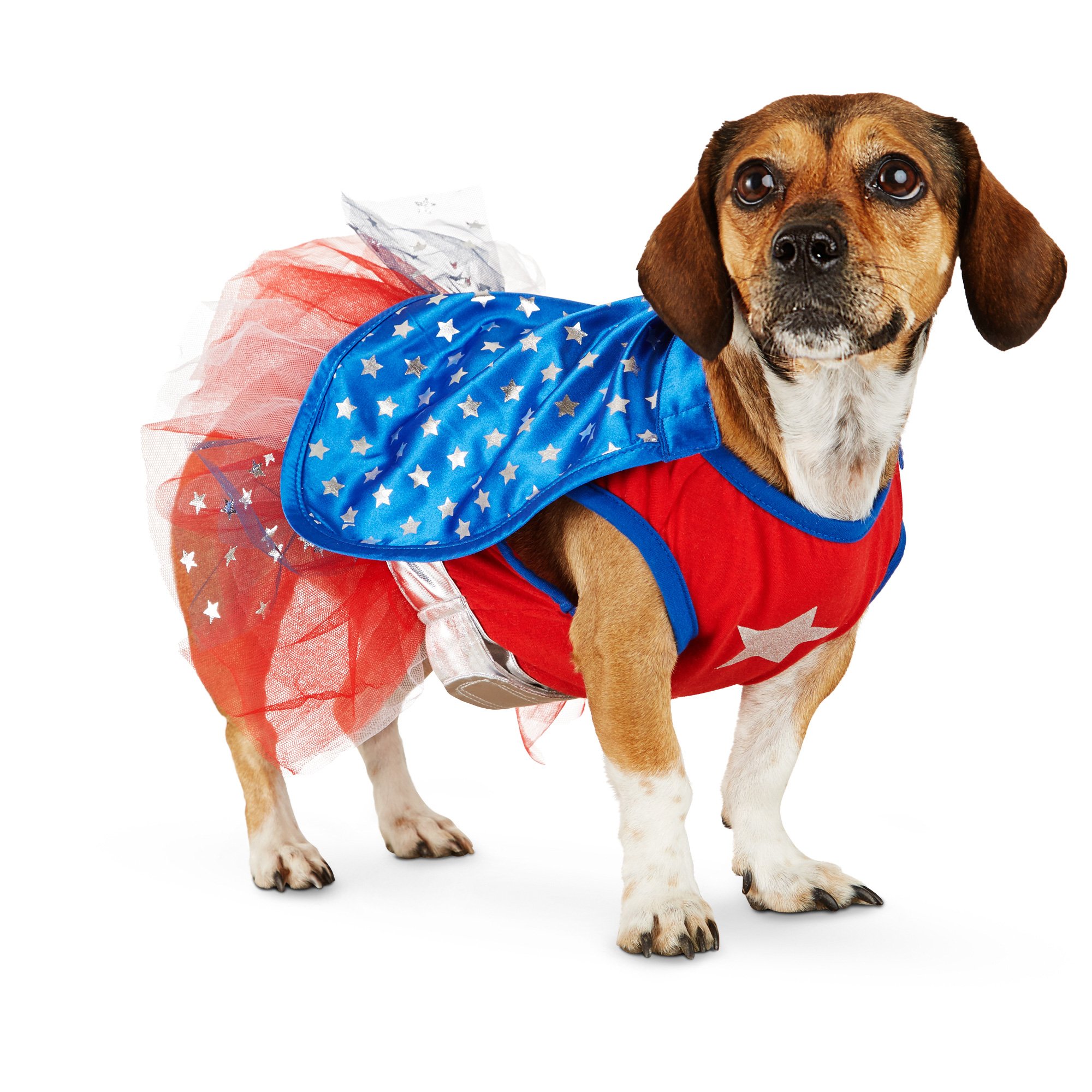 Halloween Dog Costumes Pawsome Doggie