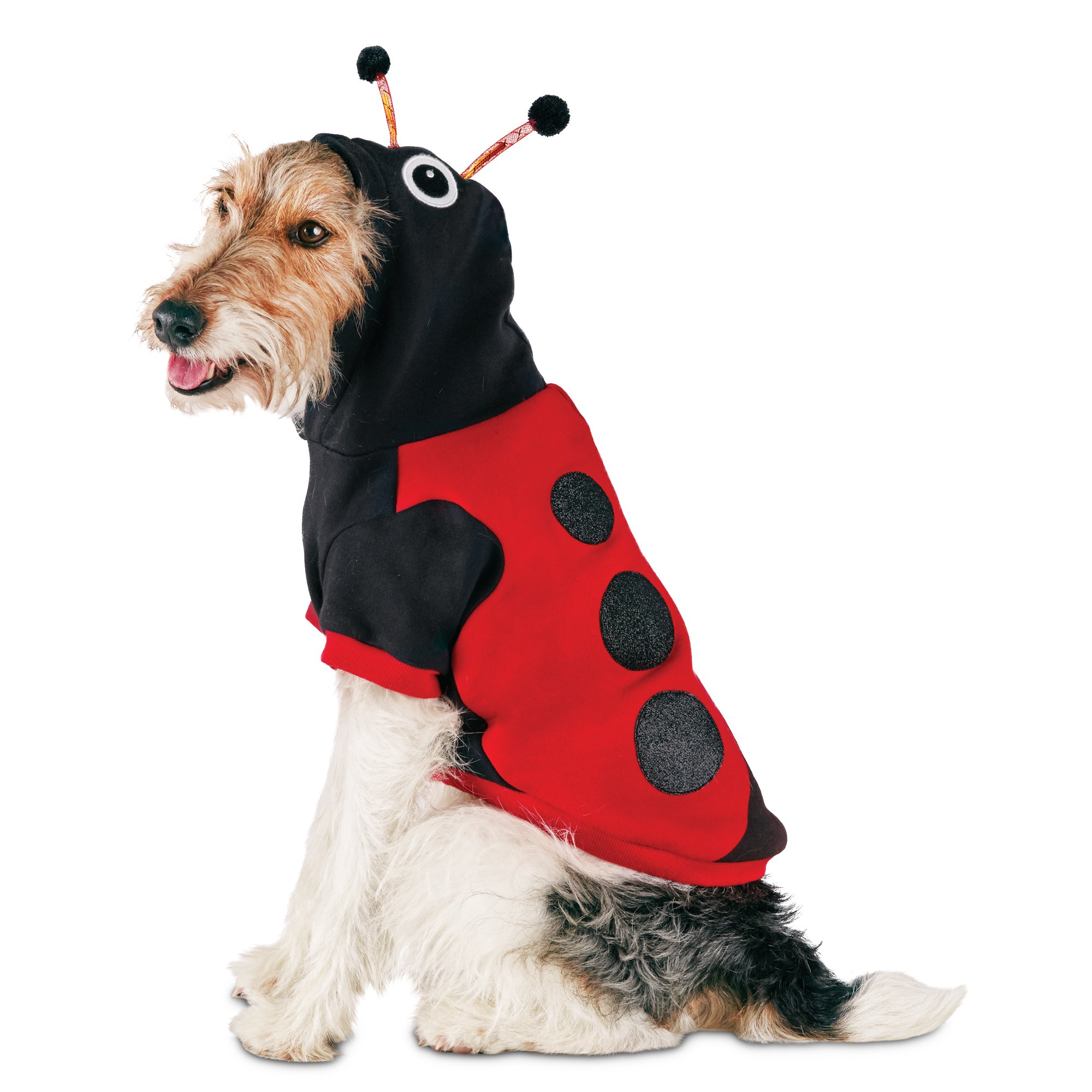 Halloween Dog Costumes Pawsome Doggie