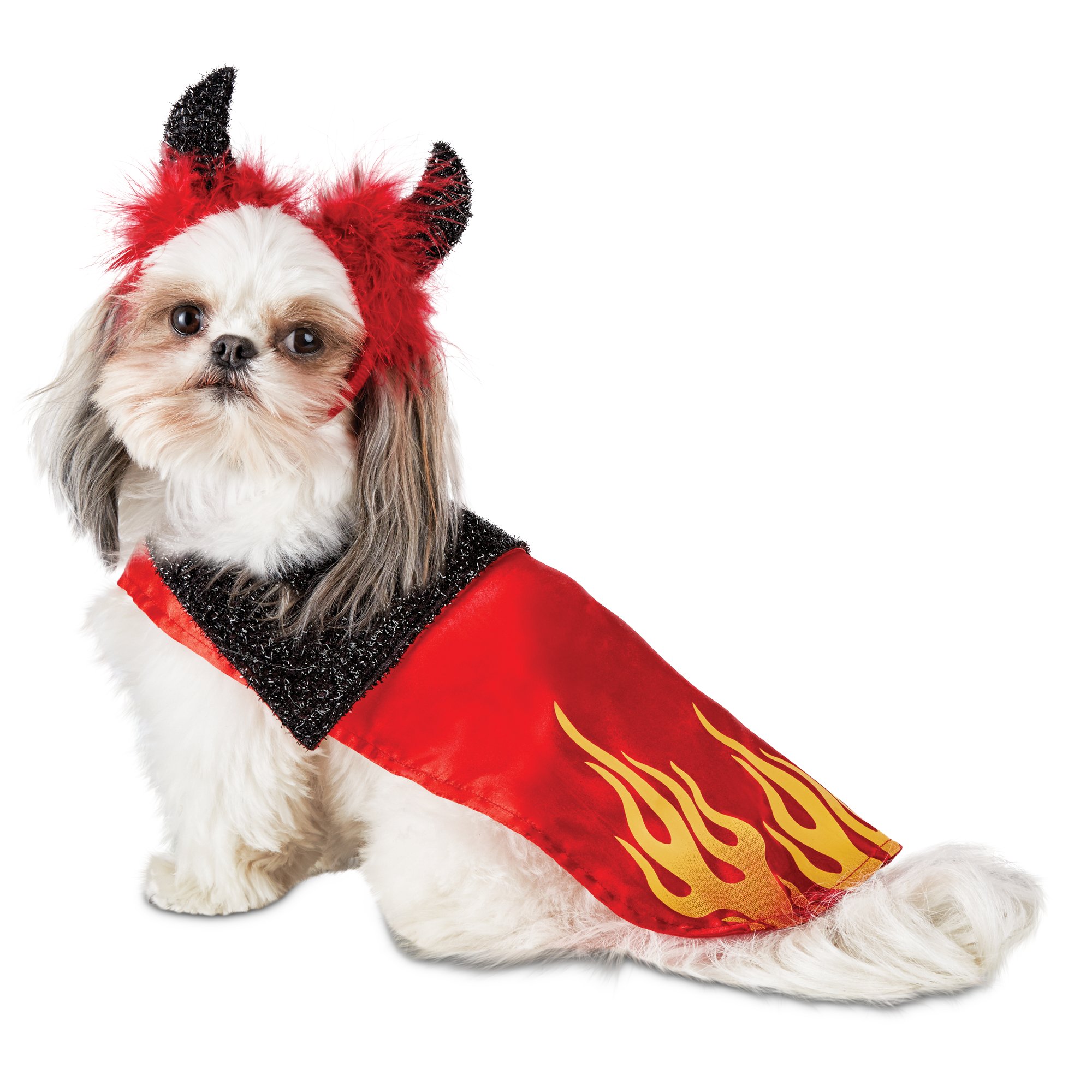 Halloween Dog Costumes Pawsome Doggie
