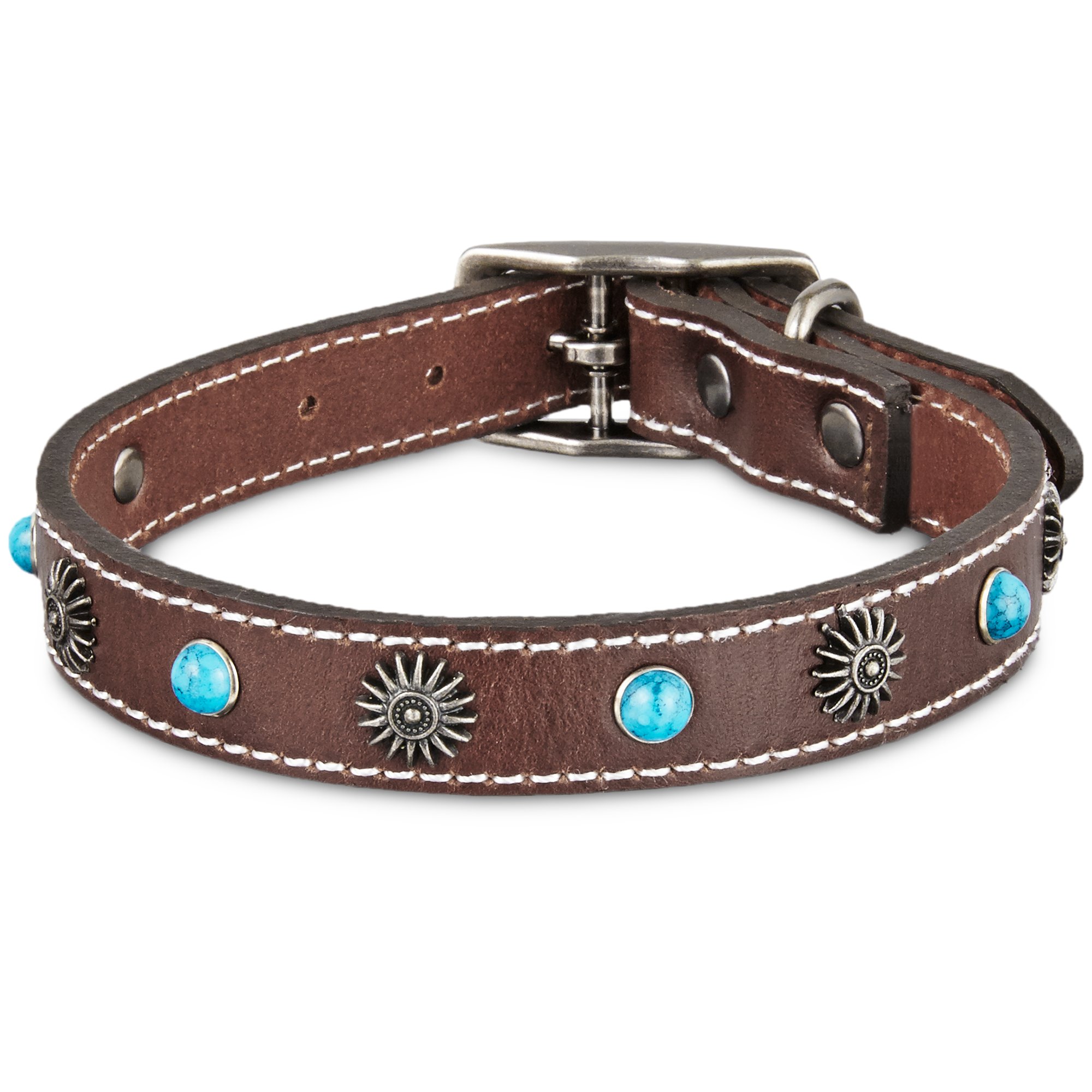 Bond & Co. Turquoise & Brown Leather Stud Collar Petco Store