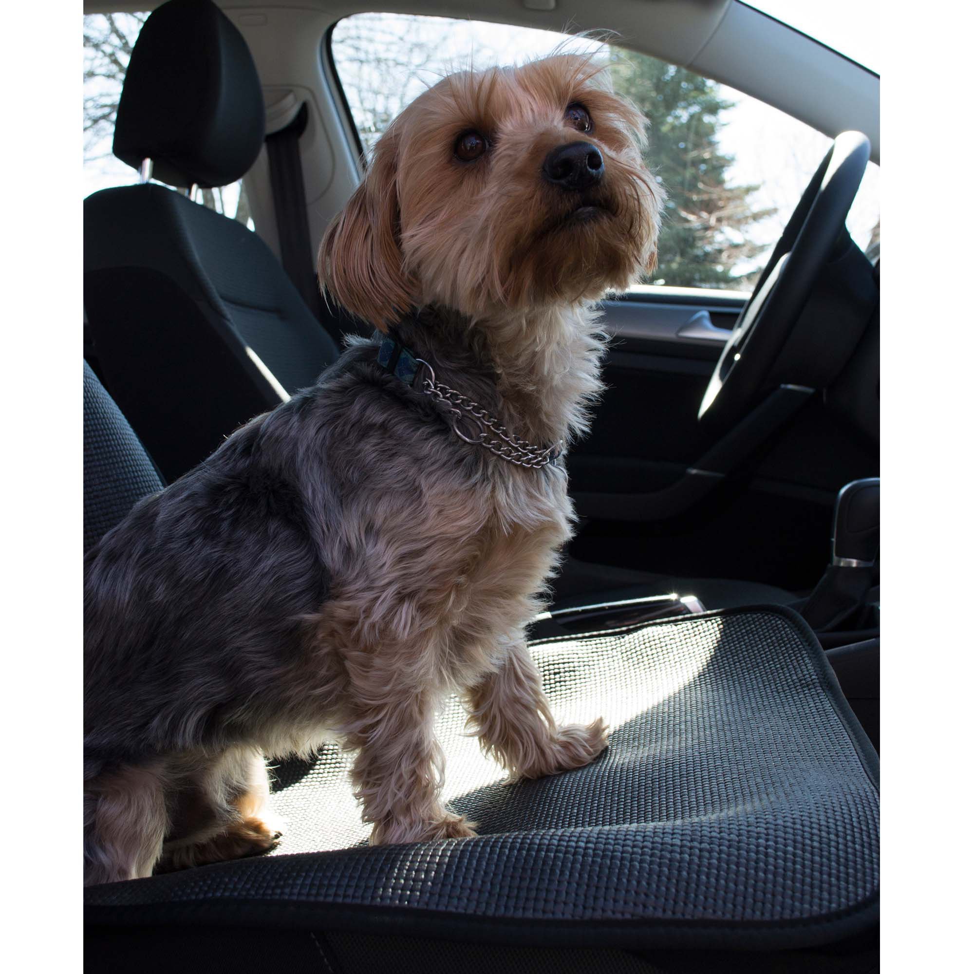 Stayjax Pet Products Bucket Seat Bottom Car Seat Cover Petco