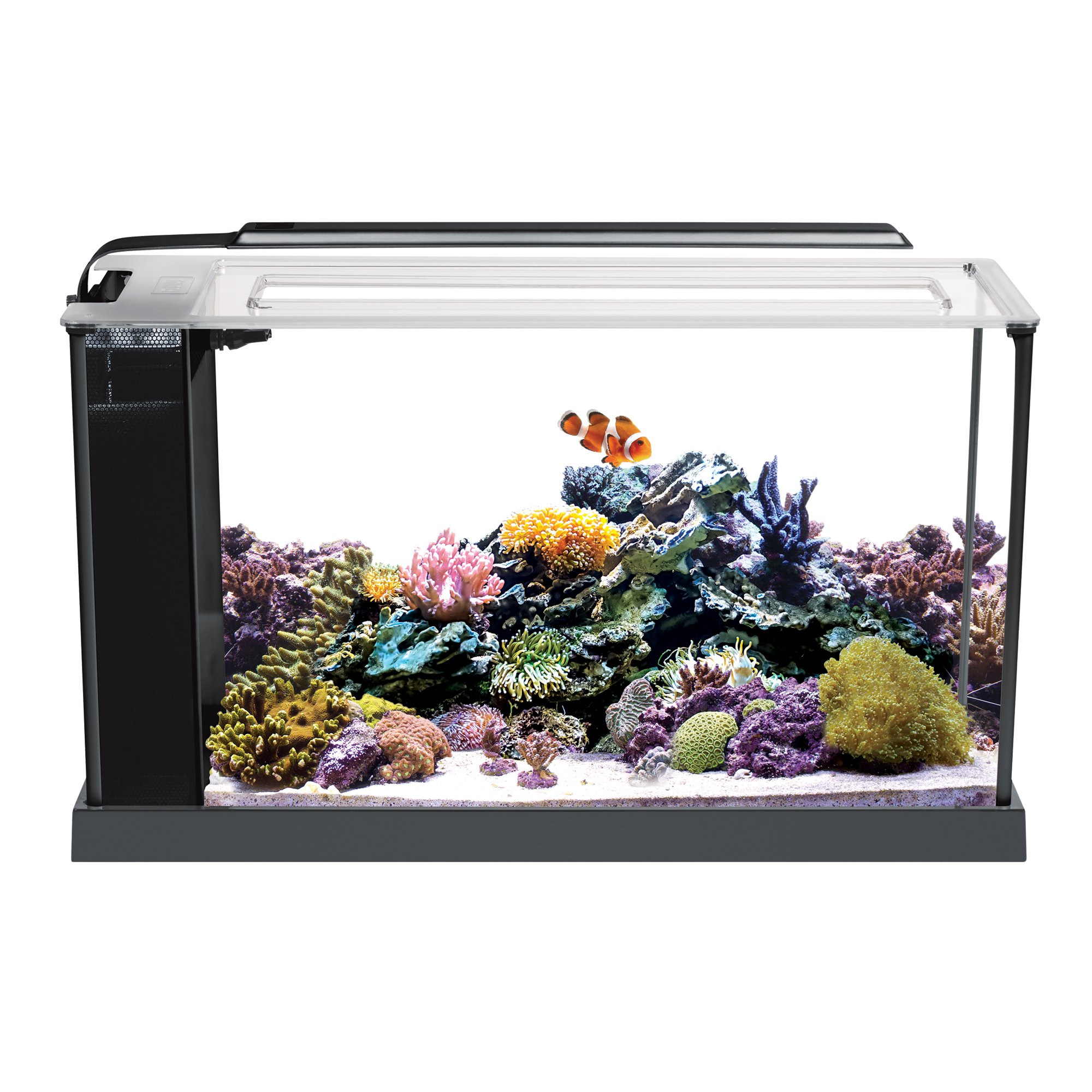 Fluval 5 Gallon Spec V Aquarium Kit, White Petco