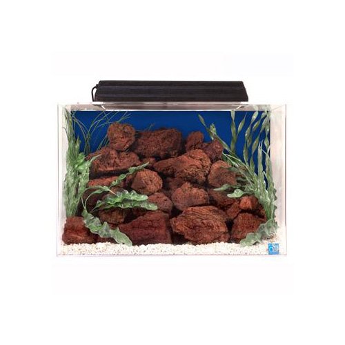 SeaClear Rectangular 20 Gallon Aquarium Combos in Blue Petco