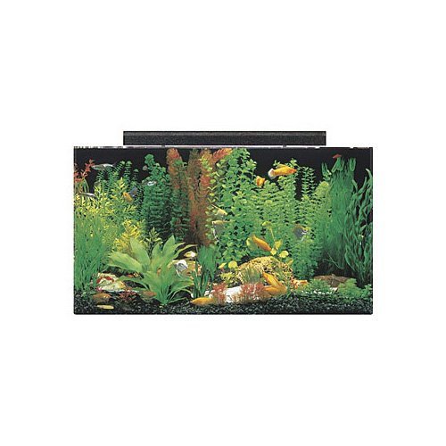 SeaClear Rectangular 50 Gallon Aquarium Combos in Clear Petco
