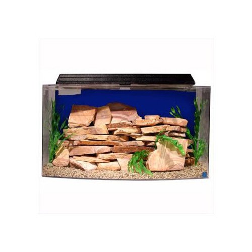 SeaClear Bowfront 36 Gallon Aquarium Combos in Blue Petco