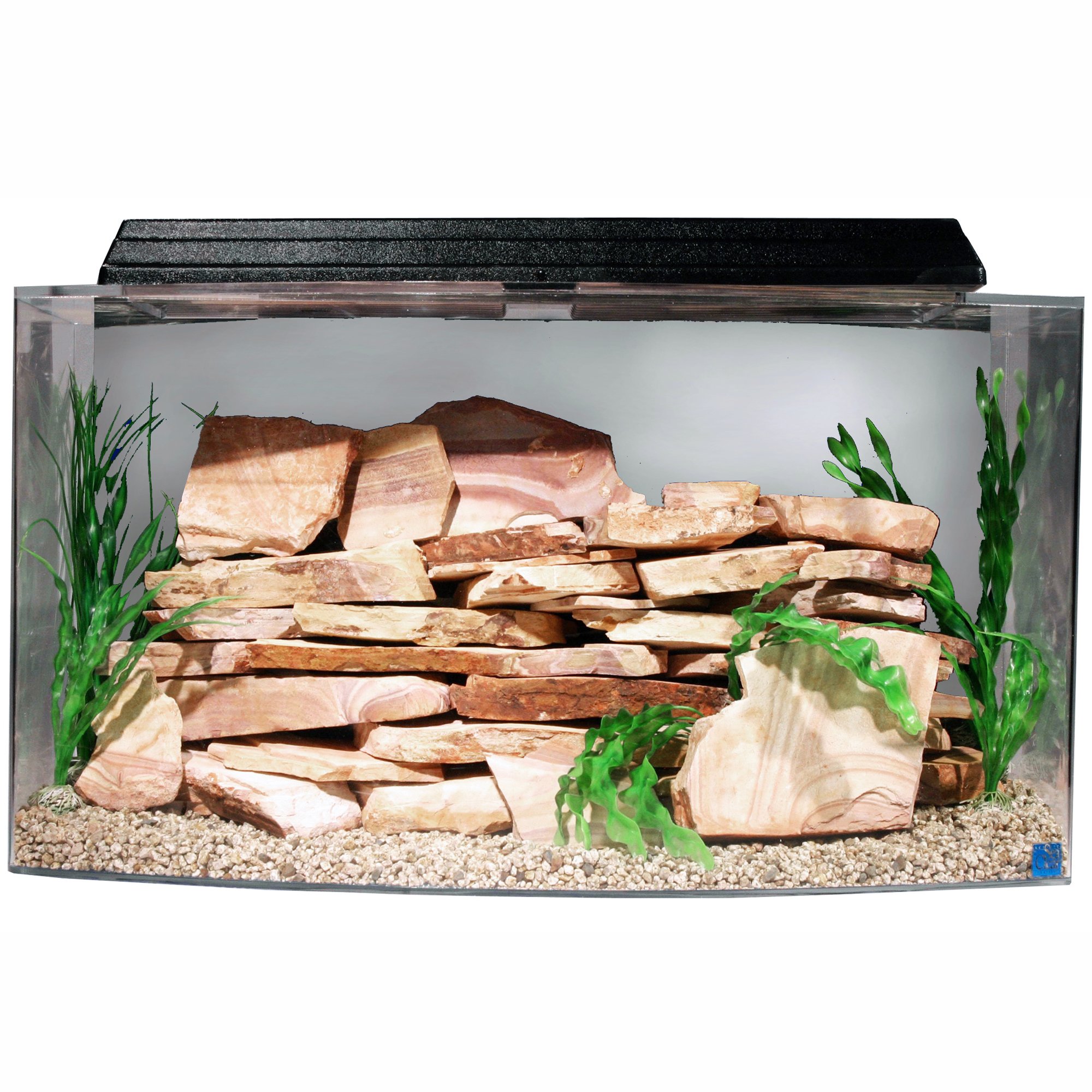 SeaClear Bowfront 46 Gallon Aquarium Combos in Clear Petco