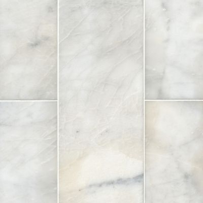 Silver White Polished Marble Wall and Floor Tile 8 x 20 in. The