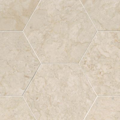 Avorio Fiorito Polished Marble Hex Wall and Floor Tile 12 in. The