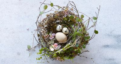 HowTo Tabletop Twig Nest The BLOG at Terrain