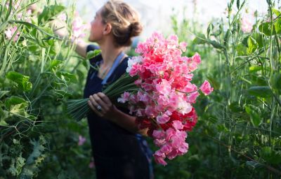 In the Field with Floret Flowers The BLOG at Terrain