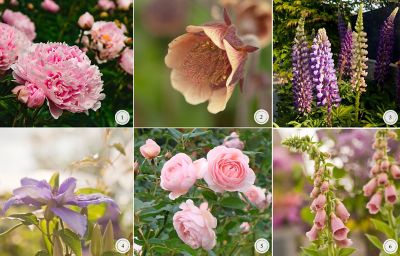 6 Things May Flowers Terrain