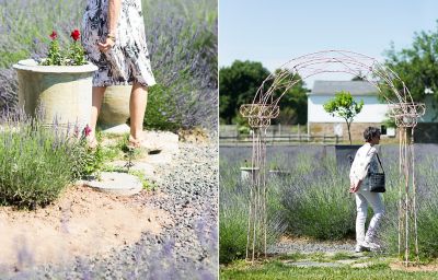 A Day at Carousel Lavender Farm The BLOG at Terrain