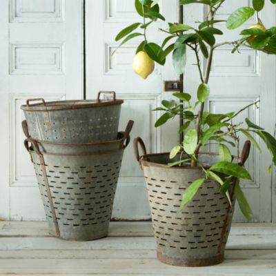 Vintage Olive Basket Terrain