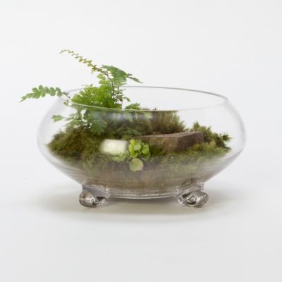 Footed Bowl Terrarium Terrain