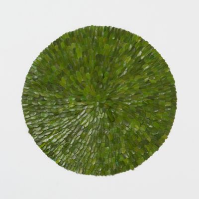 Preserved Boxwood Placemat Terrain