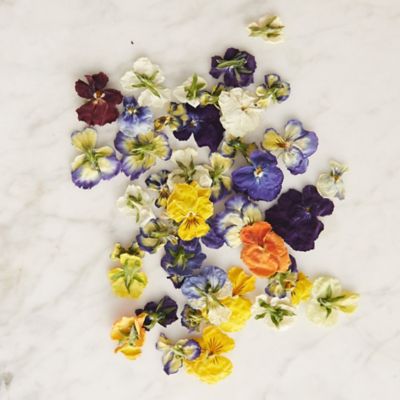 Edible Violas, Large in House + Home Food + Drink at Terrain