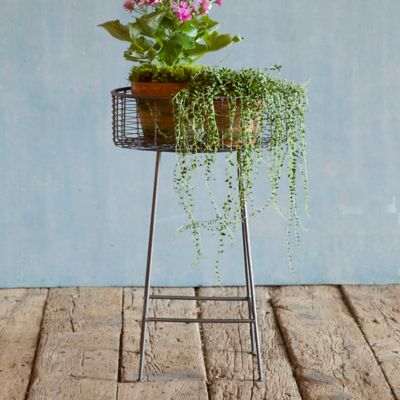 Round Basket Plant Stand, Small Terrain