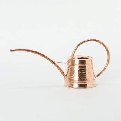Polished Copper Watering Can Terrain