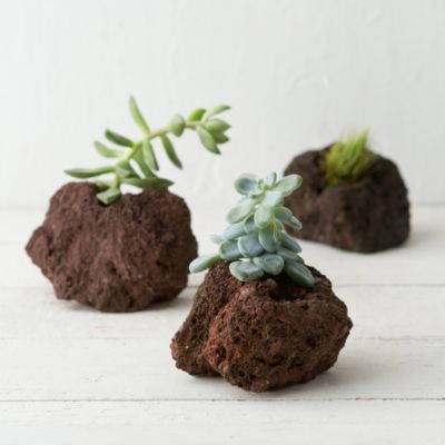 Lava Rock Mini Planter Terrain