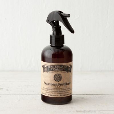 Succulent Fertilizer Spray Terrain