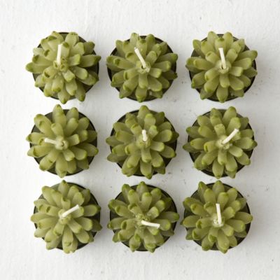 Succulent Tea Lights, Tall Terrain