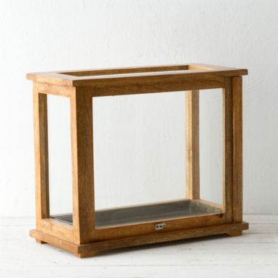 Specimen Case Terrarium Terrain