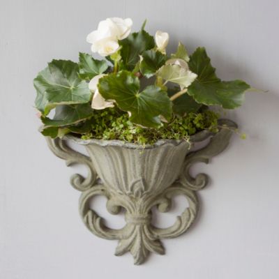 Verdigris Iron Wall Planter Terrain
