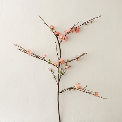 Silk Quince Spray in Sale House + Home at Terrain