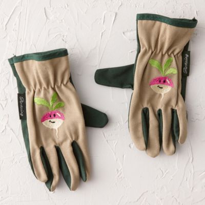 35488121_000_a?zoom2