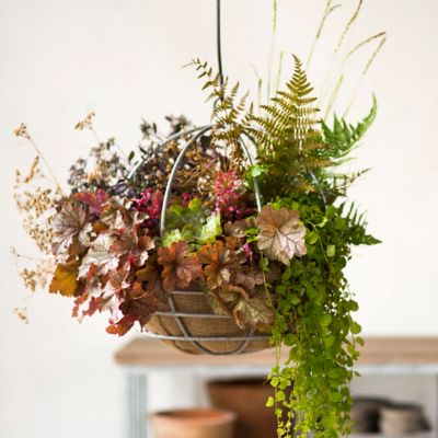 WaterSaving Natural Hanging Basket Liner Terrain