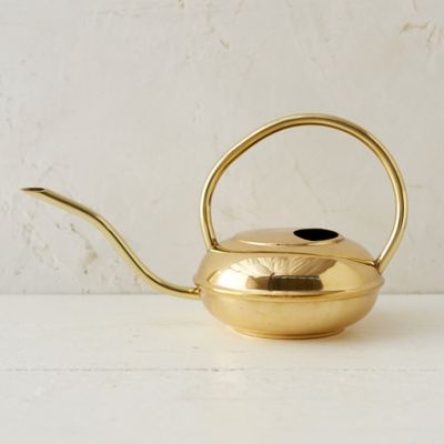 Polished Brass Watering Can Terrain