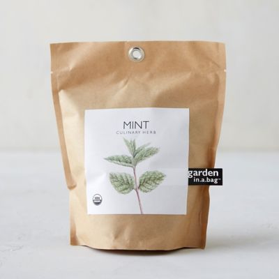 Mint Grow Bag Terrain