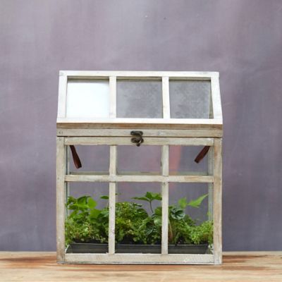 Wooden Greenhouse Terrarium Terrain