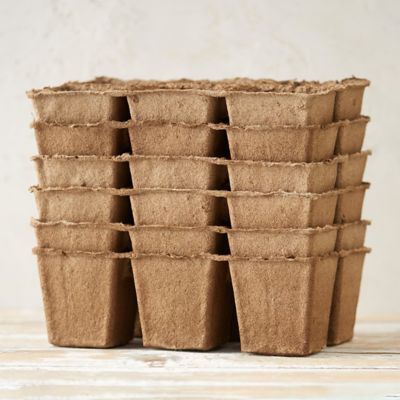 Seed Starting SixCell Flat Terrain