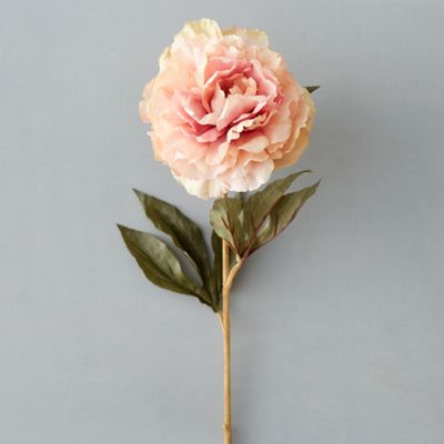 Faux Peony Stem in Garden Branches + Bunches at Terrain