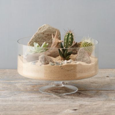 Pedestal Dish Terrarium Terrain