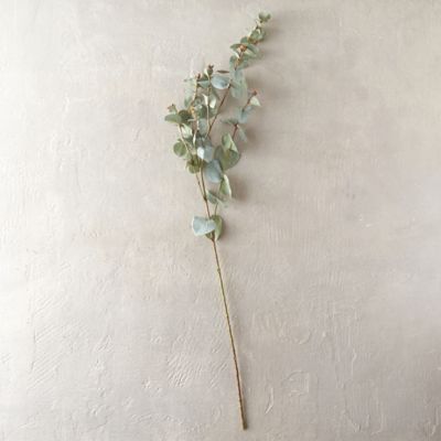 Faux Eucalyptus Branch Terrain