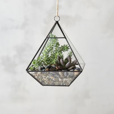 Hanging Terrarium EasyCare Air Plant or Moss Terrariums