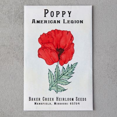 American Legion Poppy Seeds Terrain