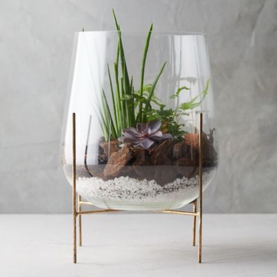 Terrarium Supplies to Make Your Own Terrarium