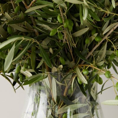 Fresh Olive Branch Bunch Terrain