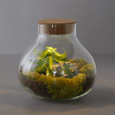 Terrarium Supplies to Make Your Own Terrarium