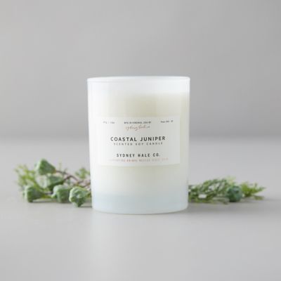 Sydney Hale Candle, Coastal Juniper Terrain